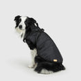 Load image into Gallery viewer, Dog Jacket