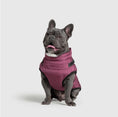 Load image into Gallery viewer, Dog Jacket