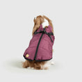 Load image into Gallery viewer, Dog Jacket