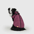 Load image into Gallery viewer, Dog Jacket
