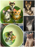 Load image into Gallery viewer, Custom Pet Handmade Coffee Mug