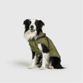 Load image into Gallery viewer, Dog Jacket