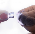 Load image into Gallery viewer, Pets Nail Clippers