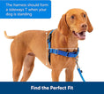 Load image into Gallery viewer, Easy Walk No-Pull Dog Harness