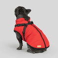 Load image into Gallery viewer, Dog Jacket
