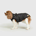 Load image into Gallery viewer, Dog Jacket