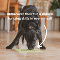 Load image into Gallery viewer, Dog lick mat slow feeder