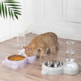 Load image into Gallery viewer, Cat Food and Water Bowl Set with Water Dispenser