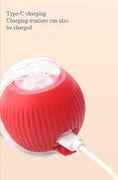 Load image into Gallery viewer, Interactive Cat Toys Ball