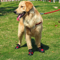 Load image into Gallery viewer, Waterproof Non-Slip Dog Boots