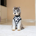 Load image into Gallery viewer, Dog Recovery Suit