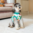 Load image into Gallery viewer, Dog Recovery Suit