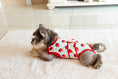 Load image into Gallery viewer, Dog Recovery Suit