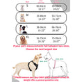 Load image into Gallery viewer, No-Pull Pet Harness with 2 Leash Clips
