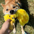 Load image into Gallery viewer, Dog squeak duck without stuffing plush