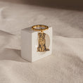 Load image into Gallery viewer, Engraved Pet Keychain
