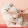Load image into Gallery viewer, Cat and Dog Grooming Brush for Shedding