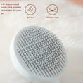 Load image into Gallery viewer, Cat and Dog Grooming Brush for Shedding