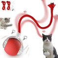 Load image into Gallery viewer, Interactive Cat Toys Ball