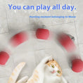 Load image into Gallery viewer, Interactive Cat Toys Ball