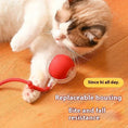 Load image into Gallery viewer, Interactive Cat Toys Ball