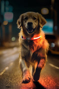 Load image into Gallery viewer, Rechargeable Glow LED Dog Collar