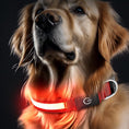 Load image into Gallery viewer, Rechargeable Glow LED Dog Collar