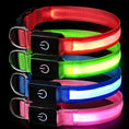 Load image into Gallery viewer, Rechargeable Glow LED Dog Collar