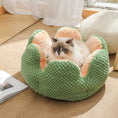 Load image into Gallery viewer, The fluffy cactus bed for pet
