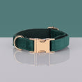 Load image into Gallery viewer, Multiple colour velvet personalised dog collar accessories