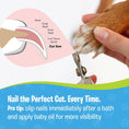 Load image into Gallery viewer, Pets Nail Clippers