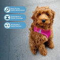 Load image into Gallery viewer, All Weather No Pull Harness for Pets