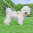Load image into Gallery viewer, Cute Bow Tie Dog Harness and Leash Set