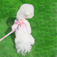 Load image into Gallery viewer, Cute Bow Tie Dog Harness and Leash Set