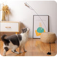 Load image into Gallery viewer, Interactive Bird Simulation Cat Toy Set