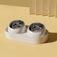 Load image into Gallery viewer, Cat Bowls for Food and Water