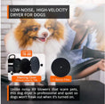 Load image into Gallery viewer, 2800W Dog Dryer High Velocity Pet Dog Pet Blow Dryer Adjustable Speed 4 Nozzles