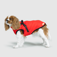 Load image into Gallery viewer, Dog Jacket