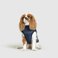 Load image into Gallery viewer, Dog Jacket