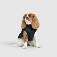 Load image into Gallery viewer, Dog Jacket