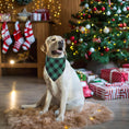 Load image into Gallery viewer, Dog Bandanas 2 Pack