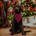 Load image into Gallery viewer, Dog Bandanas 2 Pack