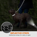 Load image into Gallery viewer, Dog Leash
