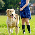 Load image into Gallery viewer, Dog Leash