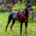 Load image into Gallery viewer, Dog Leash