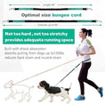 Load image into Gallery viewer, Double Dog Leash for Two Dogs
