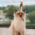 Load image into Gallery viewer, Interactive Bird Simulation Cat Toy Set
