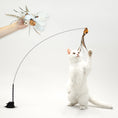 Load image into Gallery viewer, Interactive Bird Simulation Cat Toy Set