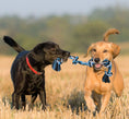 Load image into Gallery viewer, Safe dog chew rope toy set