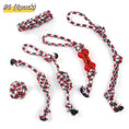 Load image into Gallery viewer, Safe dog chew rope toy set